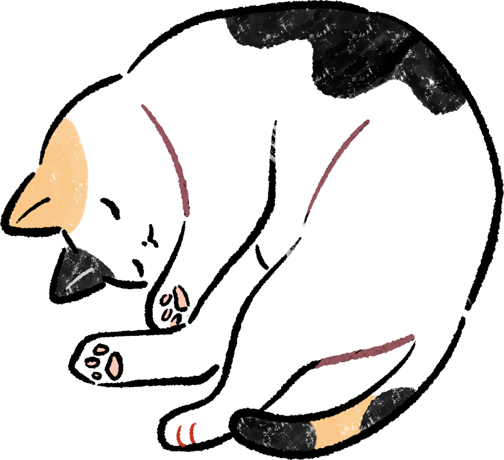 にゃあご成婚アンケートご紹介🐾 | 【公式】猫好きのための結婚相談所 とら婚コネクトにゃあ