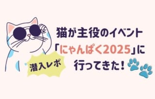 猫が主役のイベント「にゃんぱく2025」に行ってきた！【潜入レポ】