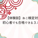 【体験談】ねこ検定対策！初心者でも合格できる3ステップ