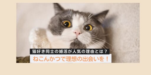 ねこんかつで理想の出会いを！猫好き同士の婚活が人気の理由とは？