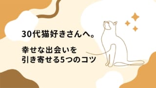30代の猫好きさんは必見！幸せな出会いを引き寄せる5つのコツとは？