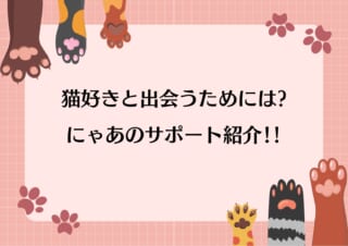 猫好きと出会うためには？にゃあのサポート紹介をご紹介！
