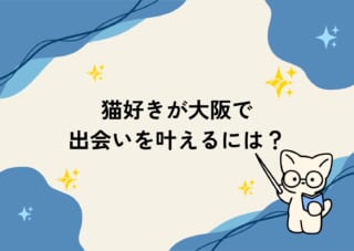 猫好きが大阪で出会いを叶えるには？