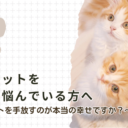 婚活や結婚でペットを手放すことを悩んでいる方は、一読してください。