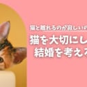 猫と離れるのが寂しいのは当たり前？ 猫との暮らしを大切にしながら結婚を考える方法