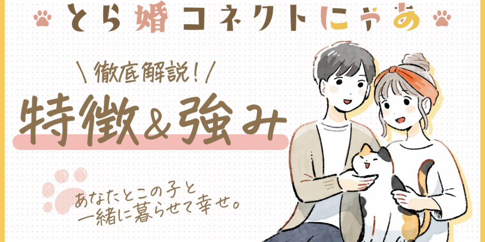 【徹底解説】とら婚コネクトにゃあって？