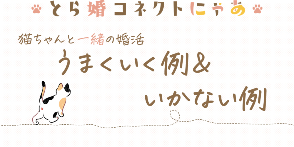 猫好き婚活うまくいく例＆いかない例の違いとは？