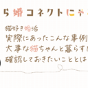 猫好き婚活　実際にあったこんな事例…大事な猫ちゃんと暮らすために確認しておきたいこととは