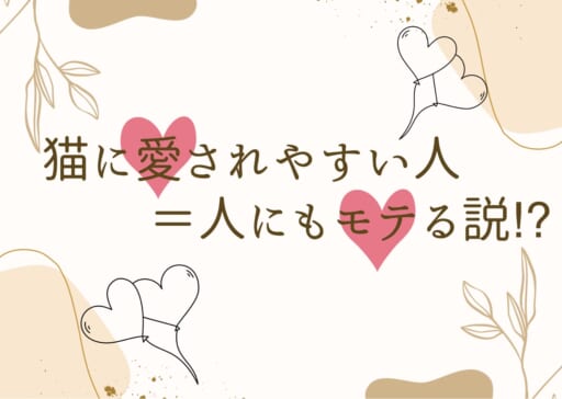 猫に愛されやすい人＝人にもモテる説！？