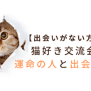【出会いがない方必見】猫好き交流会で運命の人と出会うには？