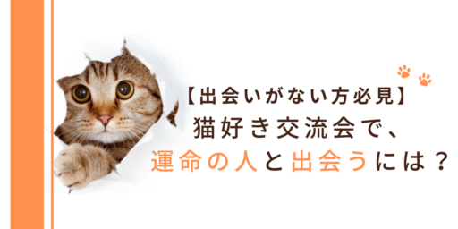 【出会いがない方必見】猫好き交流会で運命の人と出会うには？