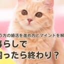一人暮らしで猫を飼ったら終わり？
