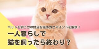 一人暮らしで猫を飼ったら終わり？