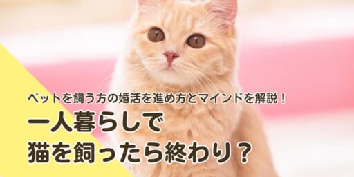 一人暮らしで猫を飼ったら終わり？
