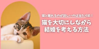 猫と離れるのが寂しいのは当たり前？ 猫との暮らしを大切にしながら結婚を考える方法