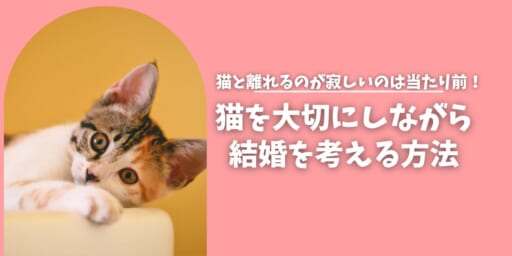 猫と離れるのが寂しいのは当たり前？ 猫との暮らしを大切にしながら結婚を考える方法